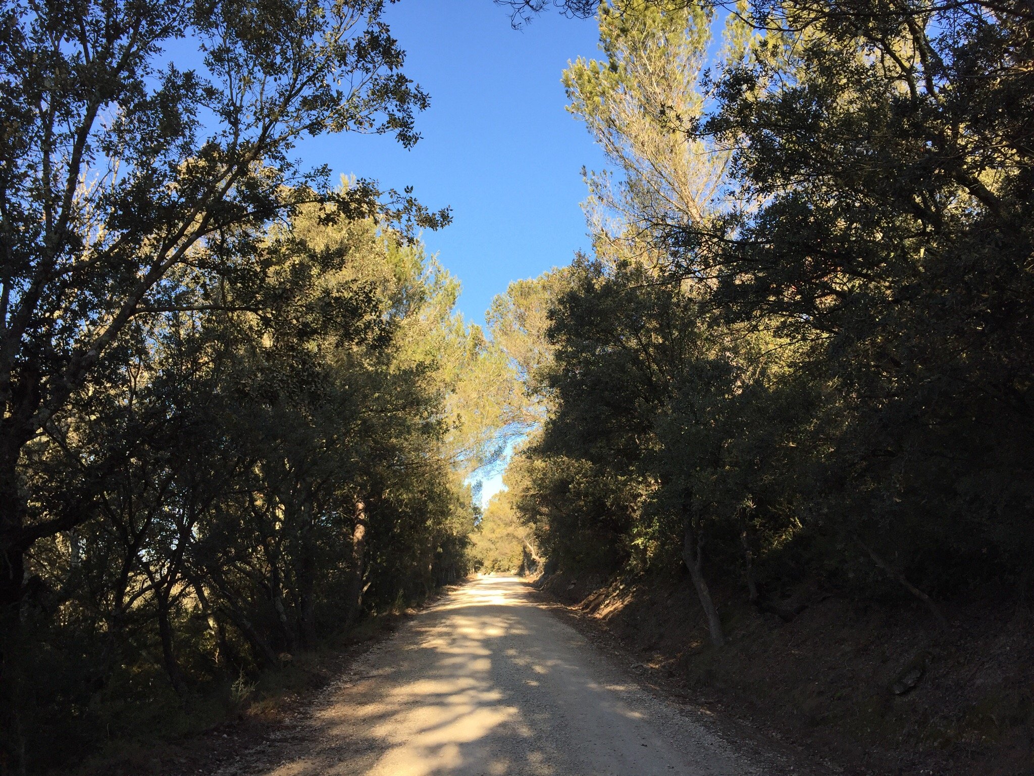 La Commanderie Des Taillades-官方