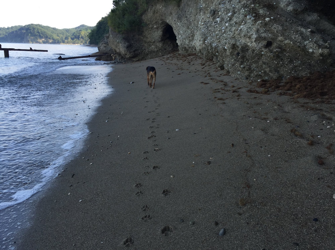 Myussera State Reserve-Myussera必去景点