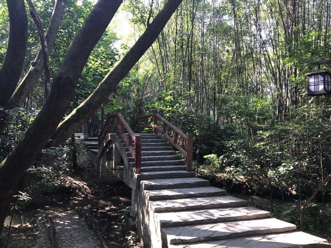 大屏障森林公园-东莞市必去景点