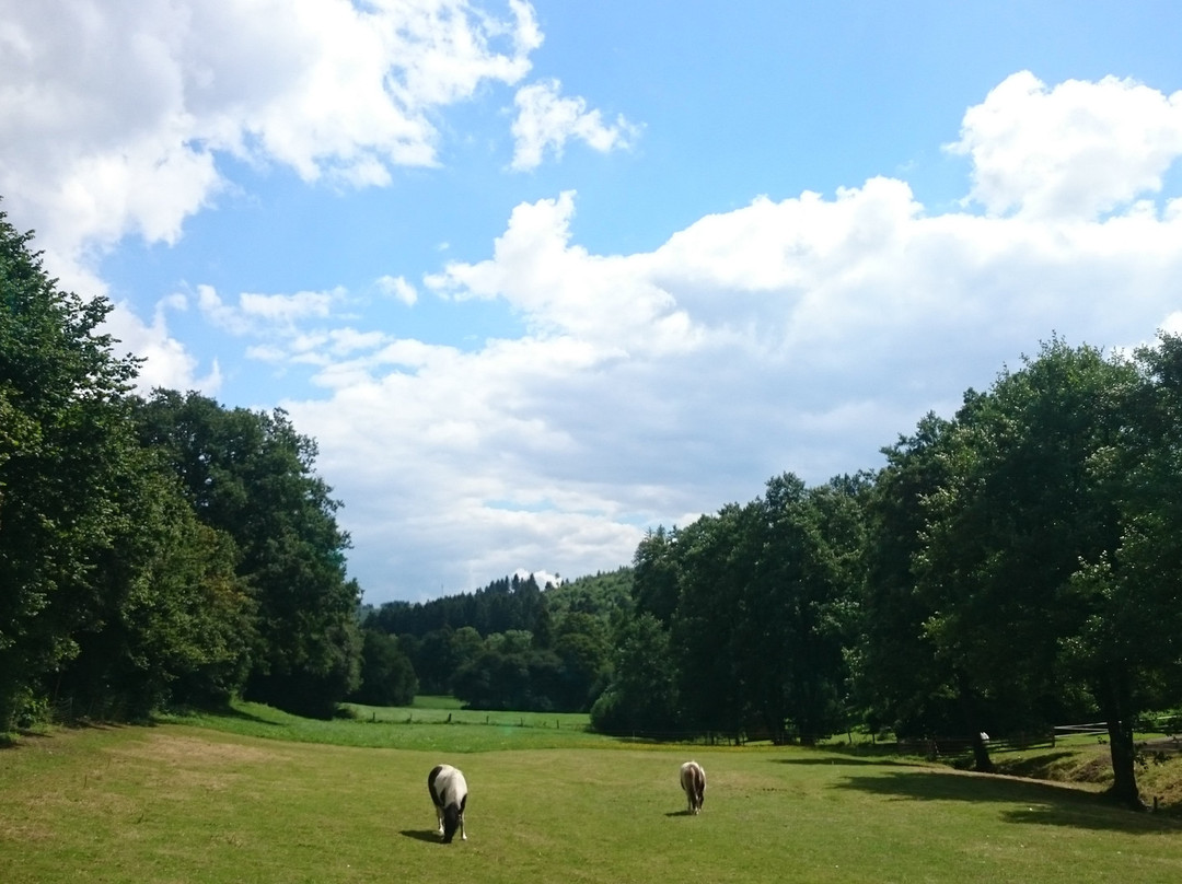 Pension Haus am Walde主图