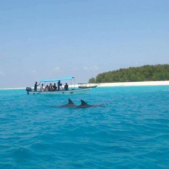 Escursioni Ronaldo-Kendwa必去景点