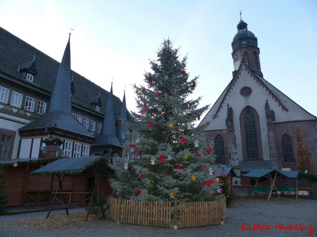 Marktkirche St. Jacobi景点图片