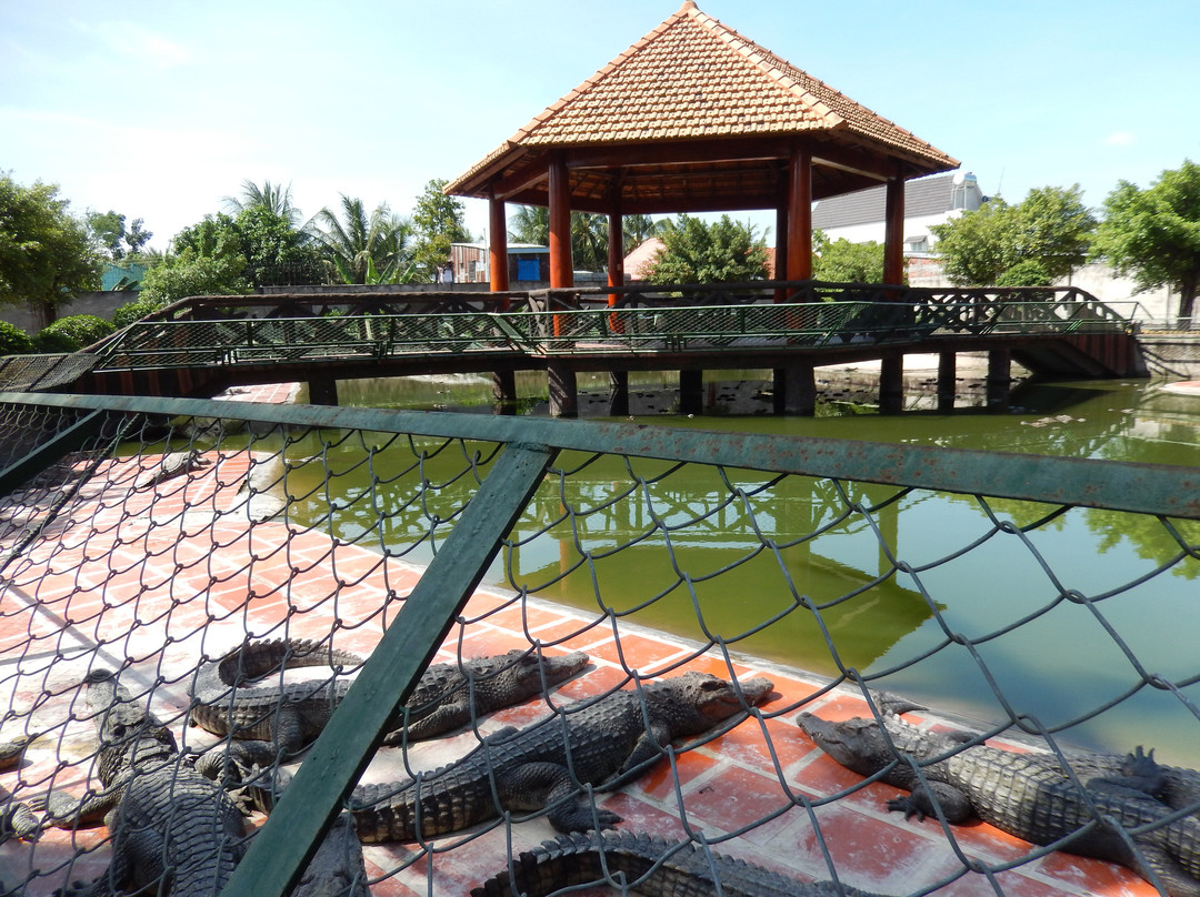 Blue Sky Crocodile Land (Long Xuyen Crocodile)-Long Xuyen必去景点