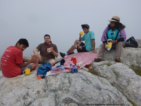 Alice's Awesome Adventures-不伦瑞克必去景点