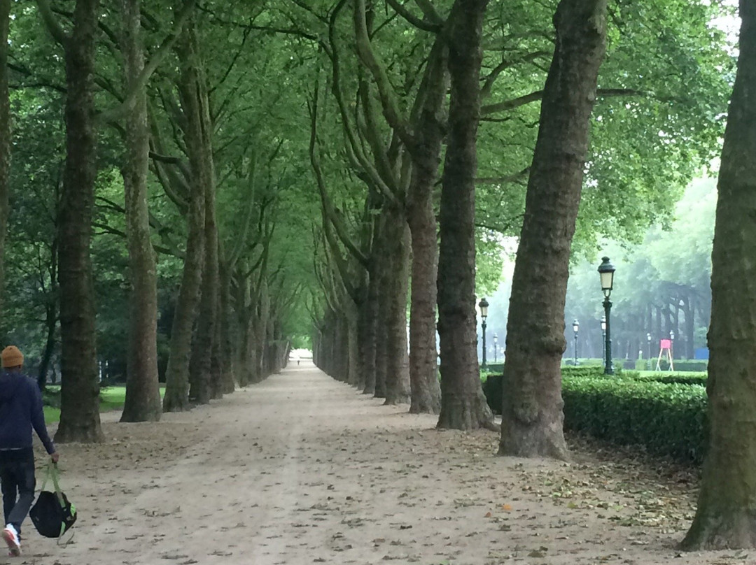 Parc Elisabeth-布鲁塞尔必去景点