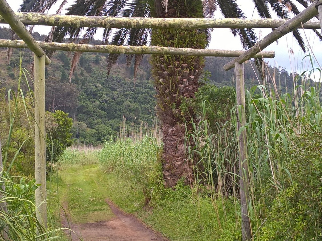 Groenvlei Lake-Sedgefield必去景点