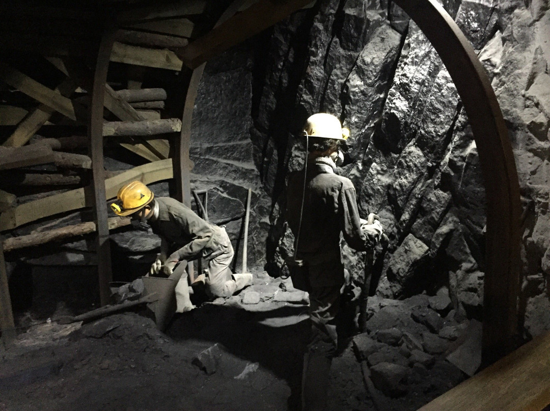 History Museum of Coal景点图片