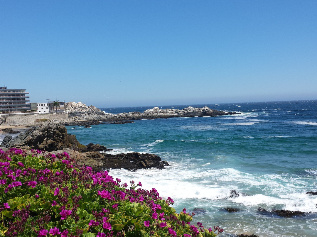 Las Playas de ConCon