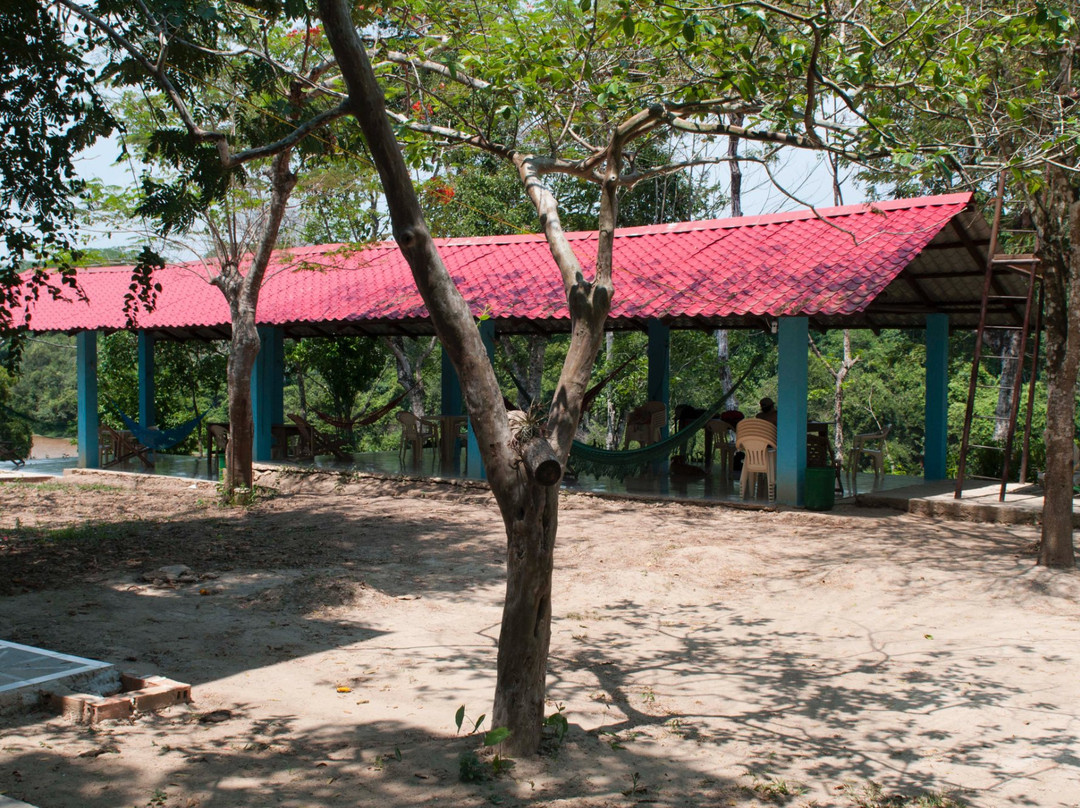 Bolivian Parrots Conservation-Trinidad必去景点