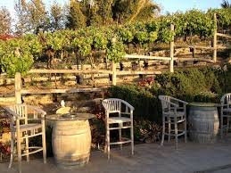 Newport Beach Vineyards and Winery-纽波特海滩必去景点
