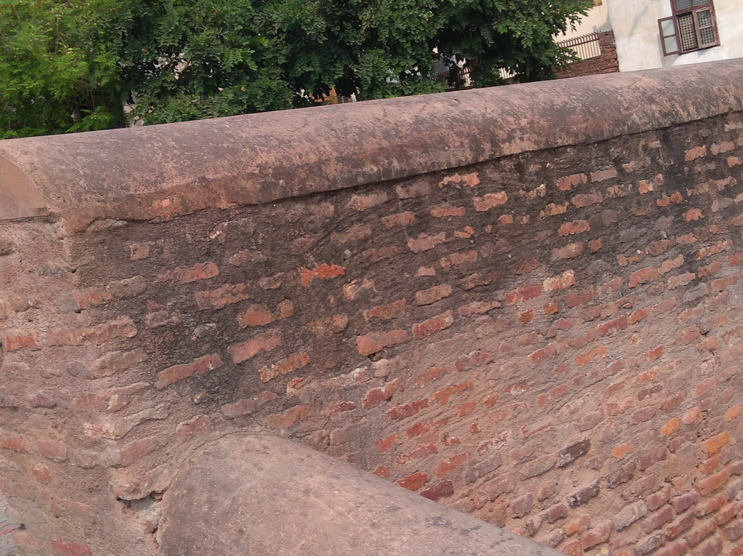 Grave Of Ibrahim Lodhi景点图片