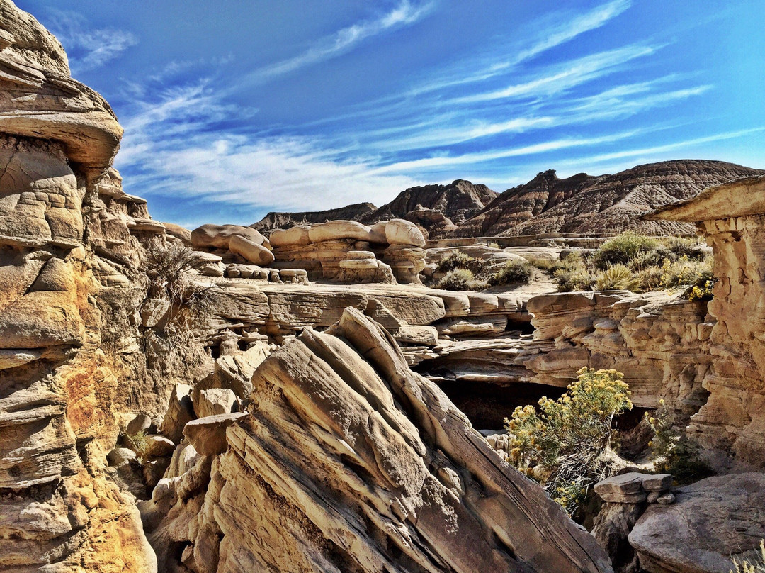 Chadron旅游景点-Toadstool Geologic Park