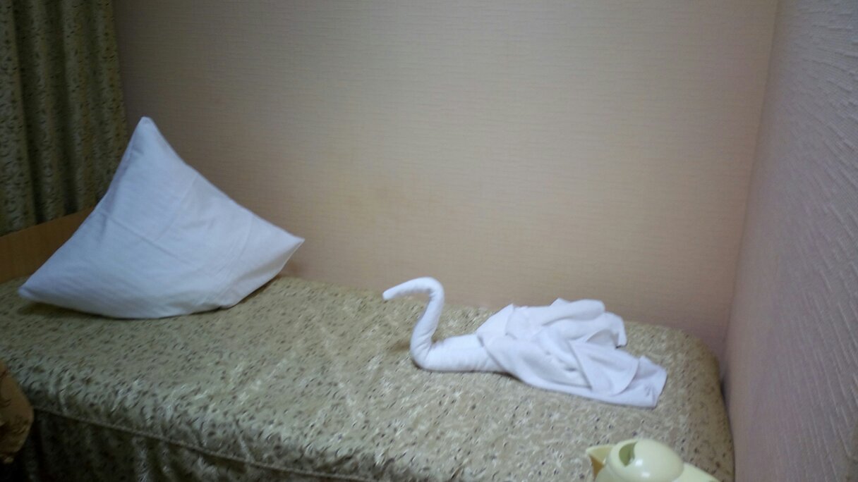 Avsteriya Hotel-官方