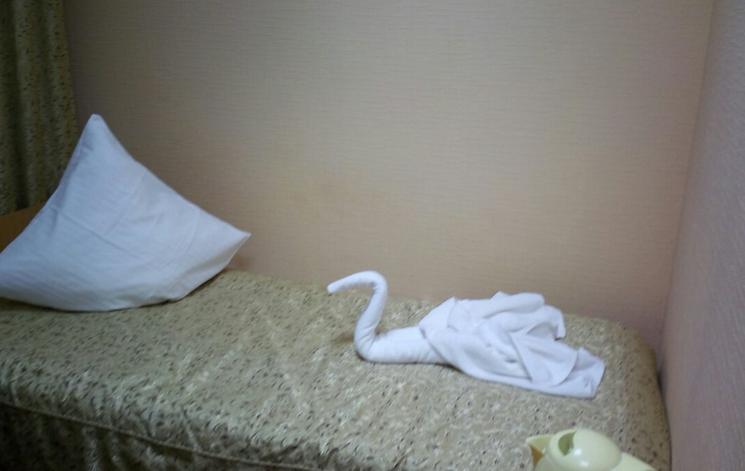 Avsteriya Hotel主图