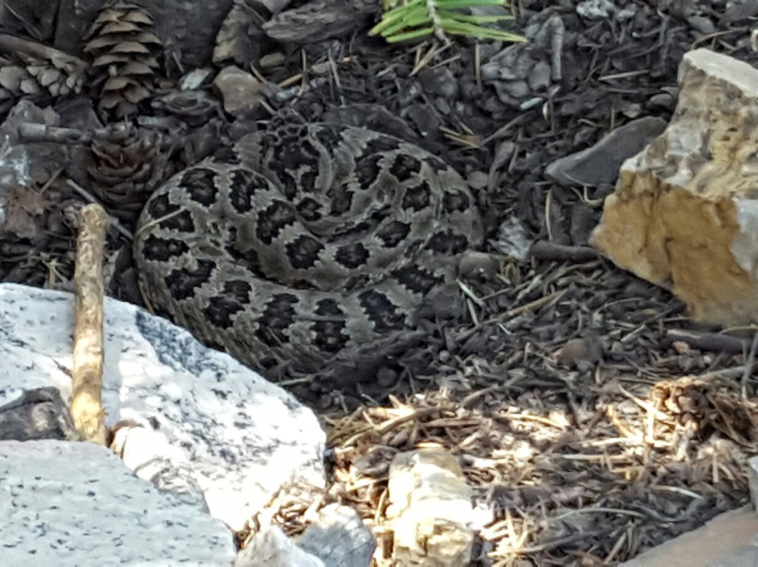 Mount Olympus-桑迪必去景点