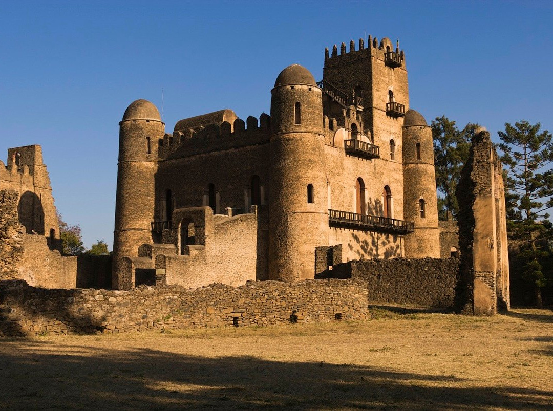 All Ethiopia Tours景点图片