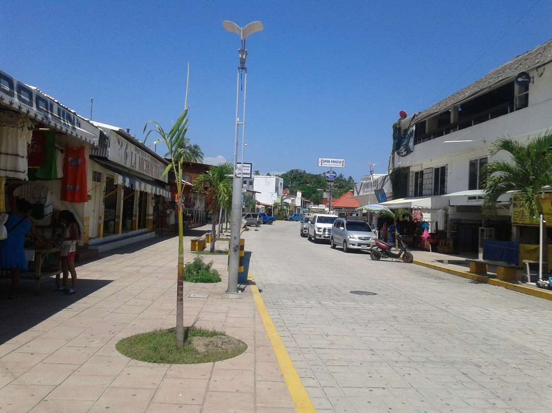 Perez Gasga-埃斯孔迪多港必去景点