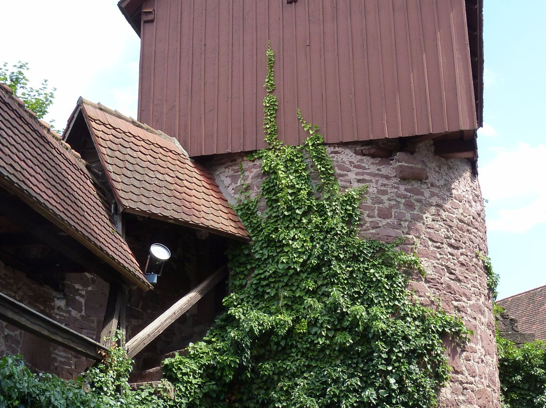 Altes Schloss mit Museum景点图片