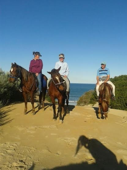 Mild2Wild Adventures-杰佛瑞湾必去景点