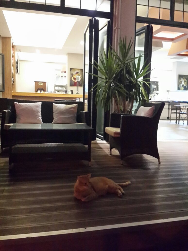 Begonvil Apart Otel-官方