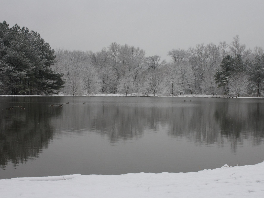 Cow Pond-埃尔克顿必去景点