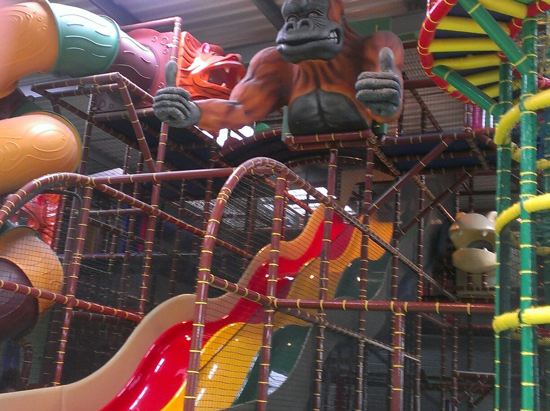 Monkey Park-Plaisance-du-Touch必去景点