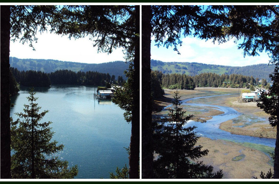 Seldovia Bed & Breakfast and Cabin Rental主图