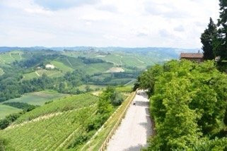 Castiglione Falletto旅游景点-Vietti