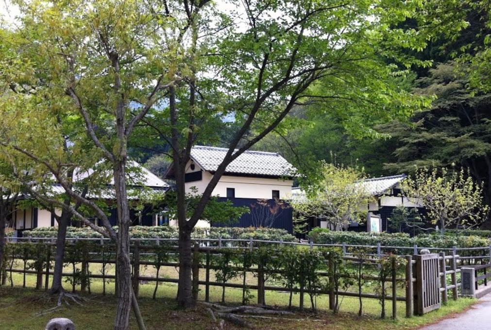 Sasayama no Mori Park-丹波篠山必去景点