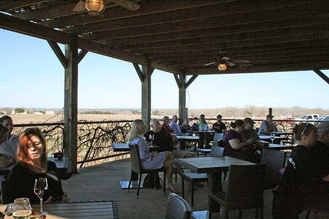 Armadillo's Leap Winery-弗雷德里克斯堡必去景点