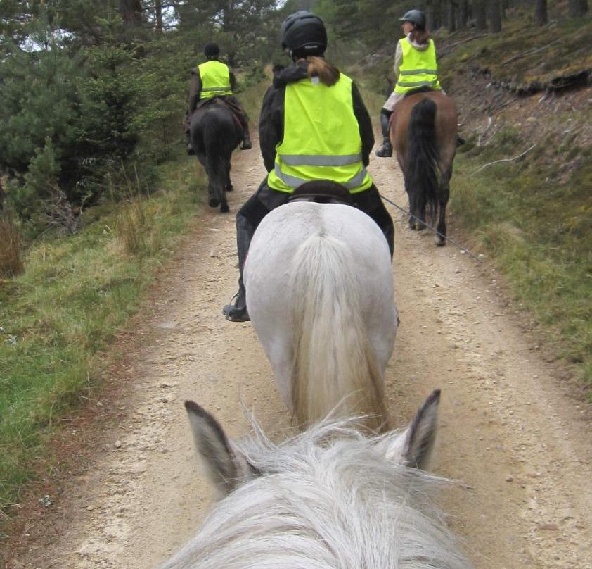 Tomintoul Riding Centre- Day Tours-Tomintoul必去景点