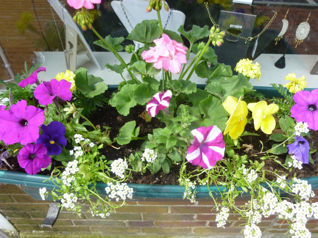 Sadie Green's Curiosity Shop-斯特布里奇必去景点