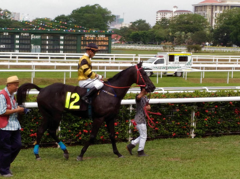 Penang Turf Club-乔治城必去景点
