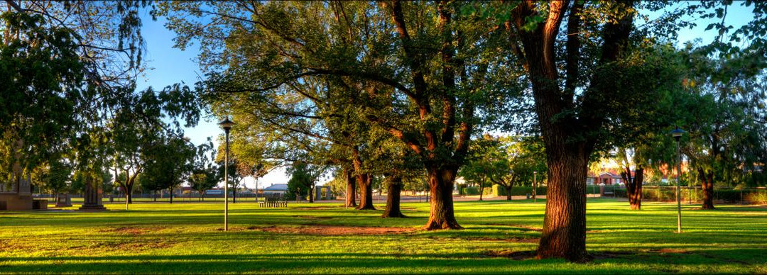 Callaghan Park-Temora必去景点
