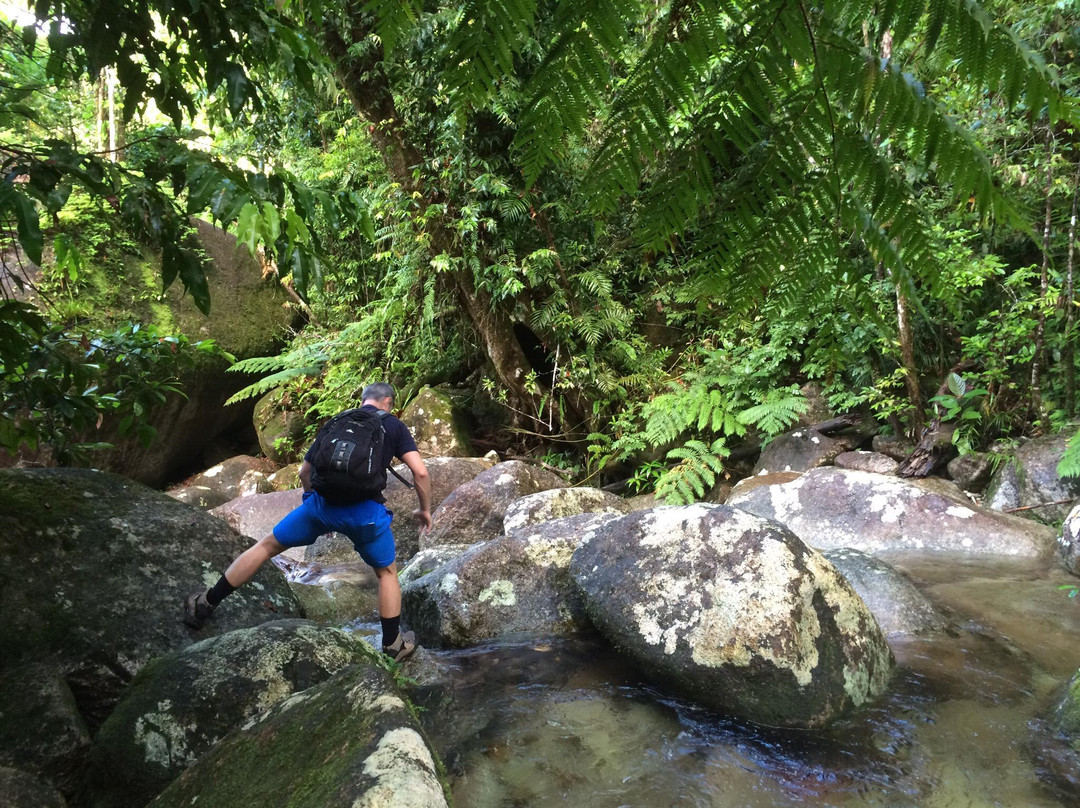 Mount Bartle Frere- 阿瑟顿必去景点