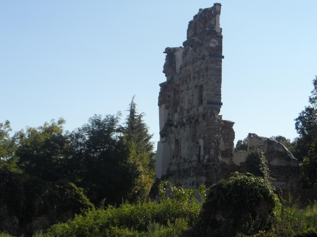 Castello dei Del Carretto景点图片