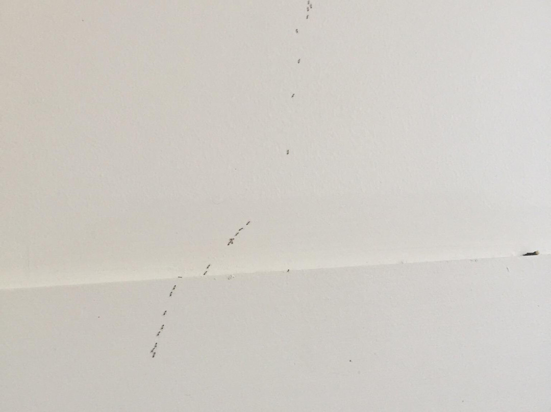 Railway Hotel Bundaberg主图