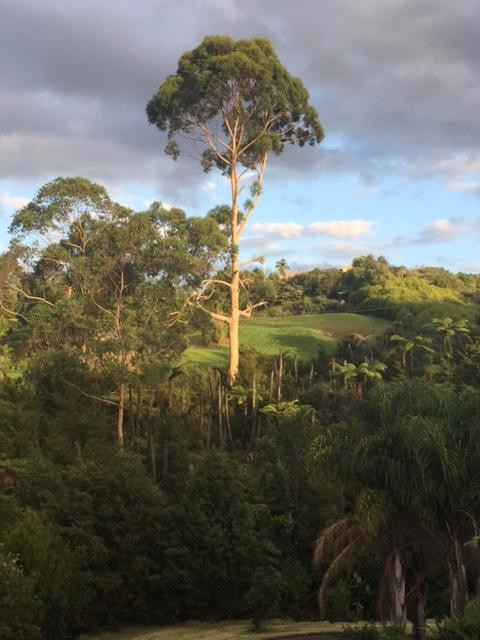 William and Mary's主图