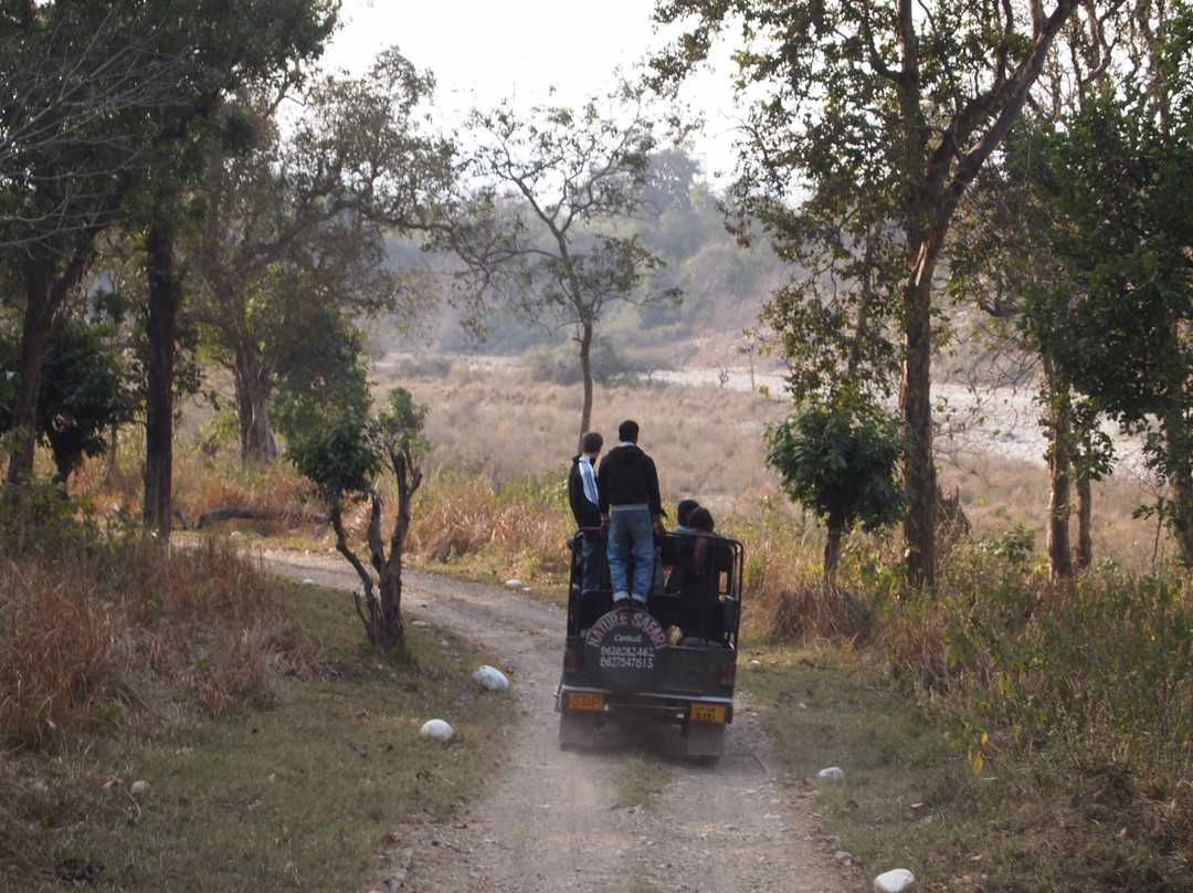 Rajaji National Park旅游攻略图片