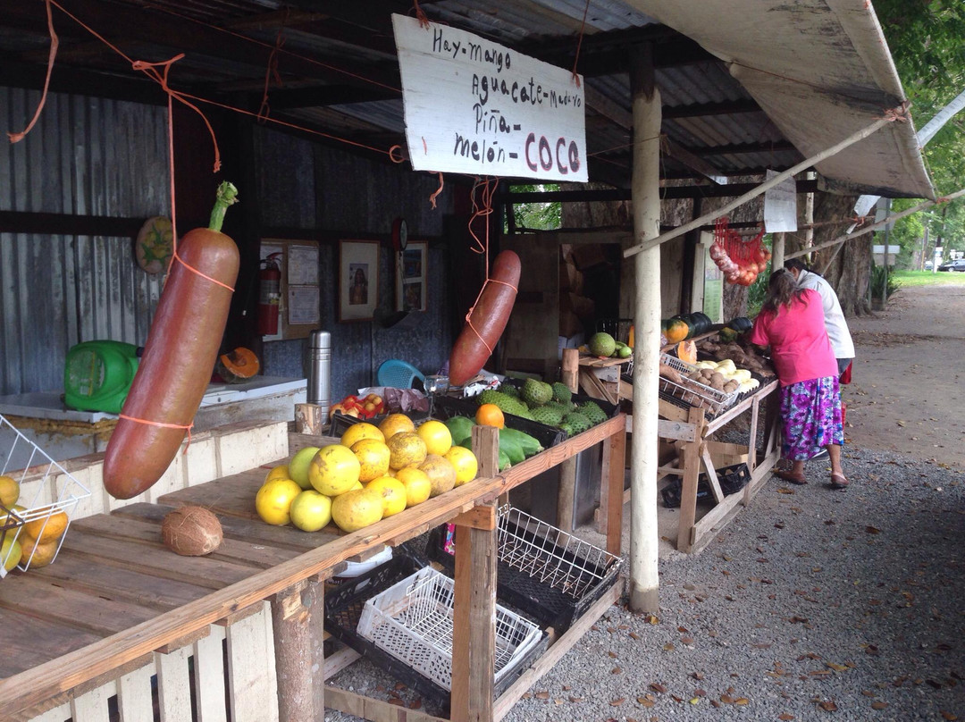 Porta del Sol - West-Mayaguez必去景点