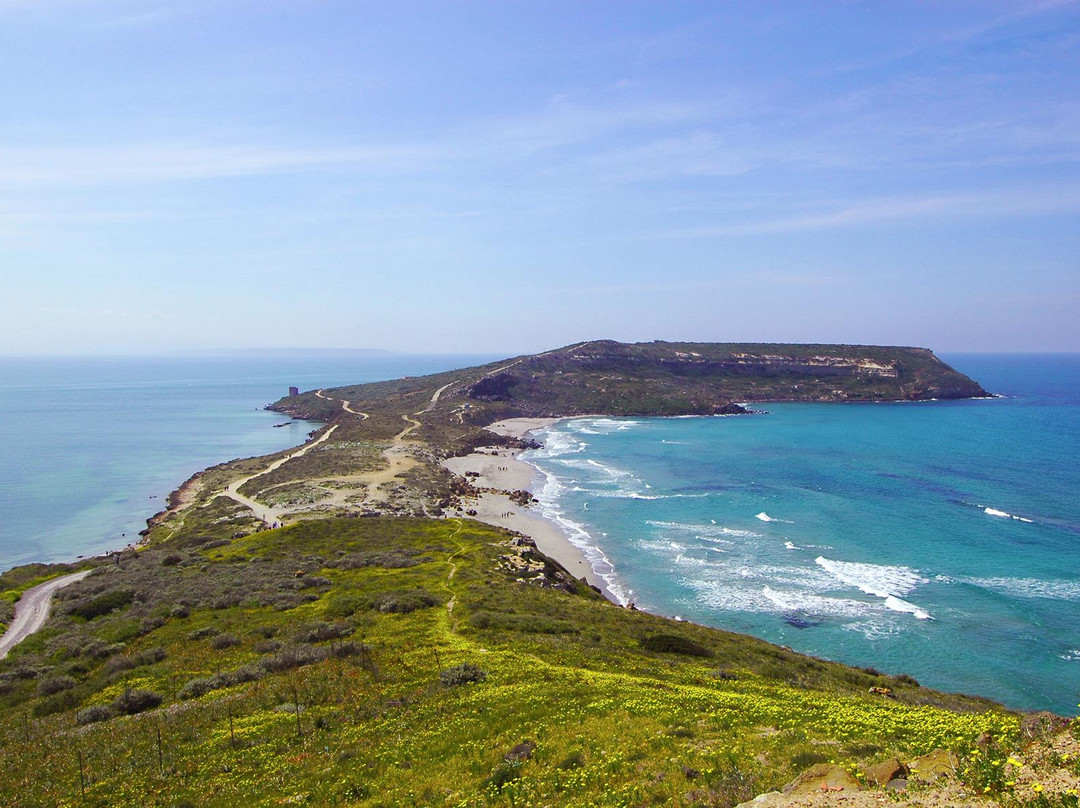 Tharros