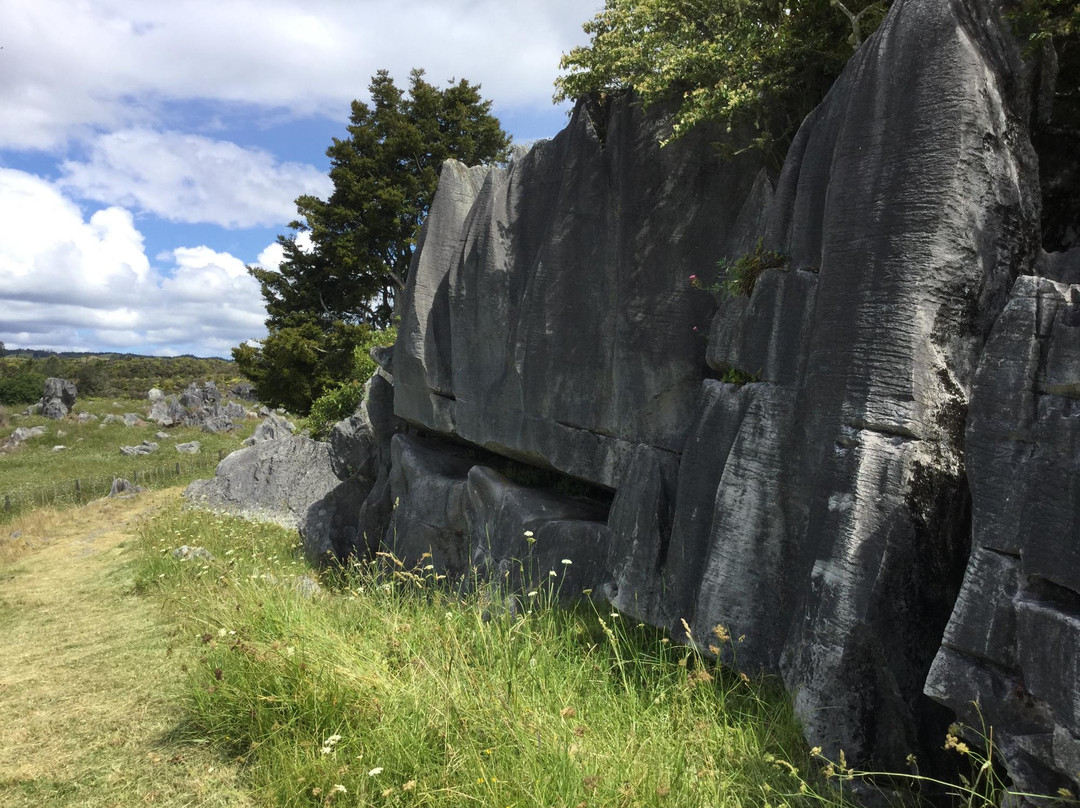 Hikurangi旅游攻略图片