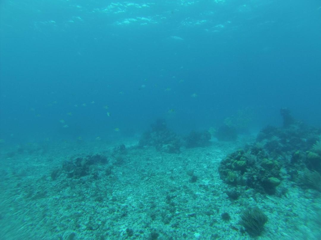 El Paso del Cedral Reef-考祖梅必去景点