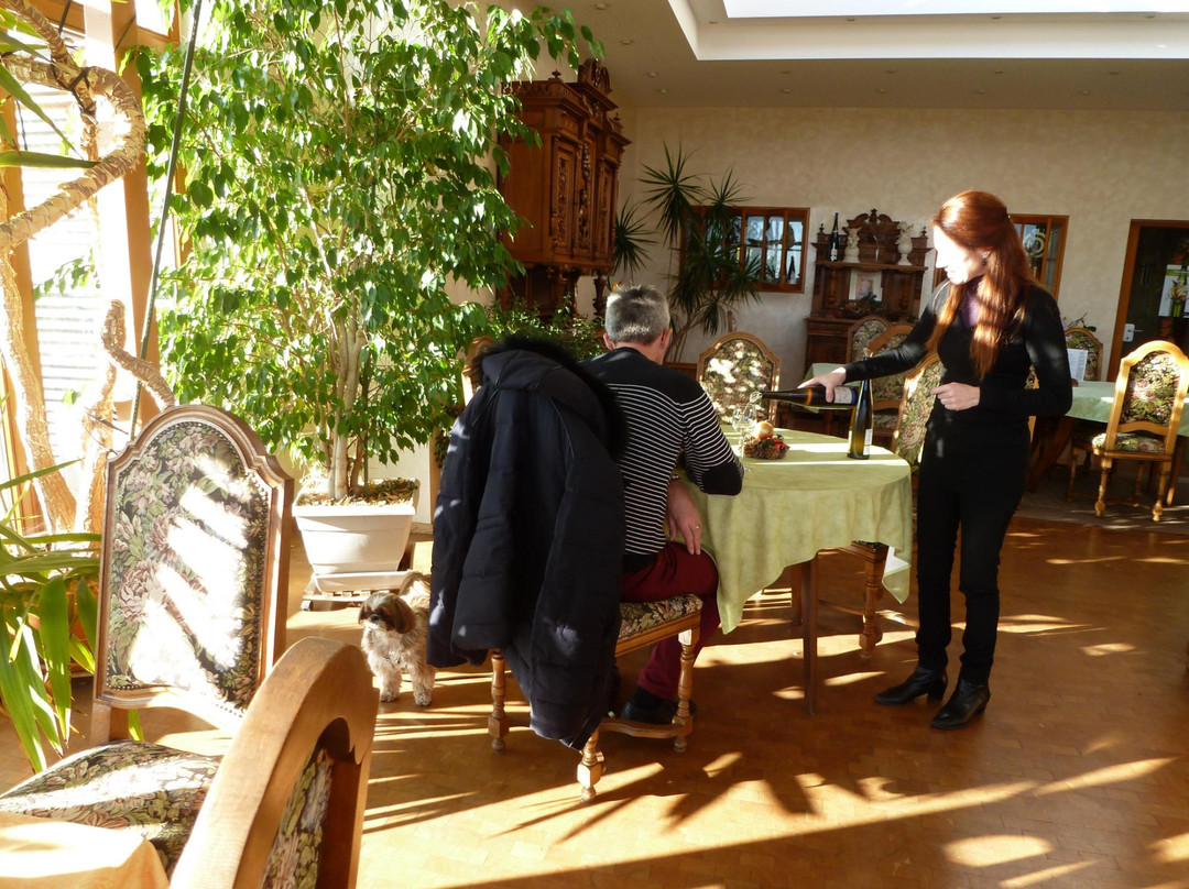 Domaine Fernand Engel景点图片