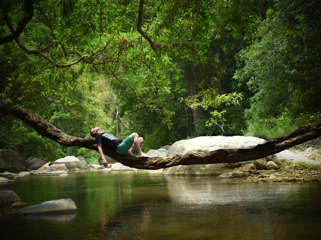 埃拉丛林度假酒店