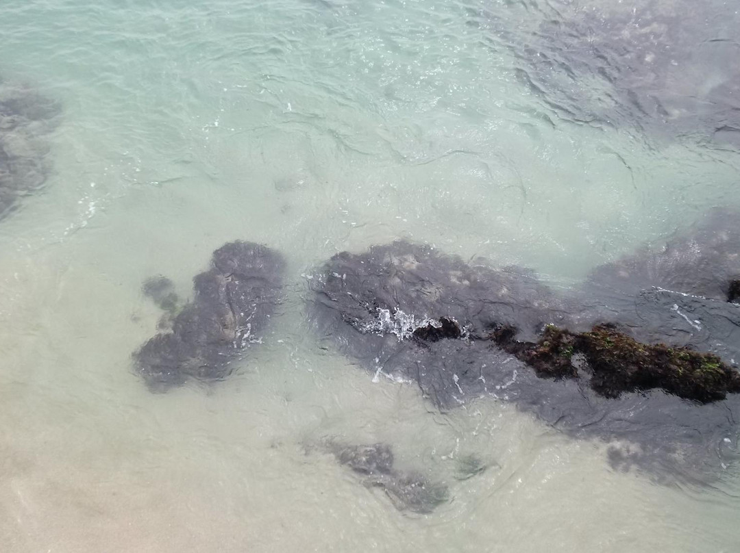 Chorwad Beach景点图片
