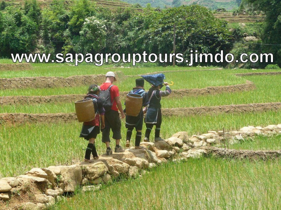 Sapa Tour景点图片