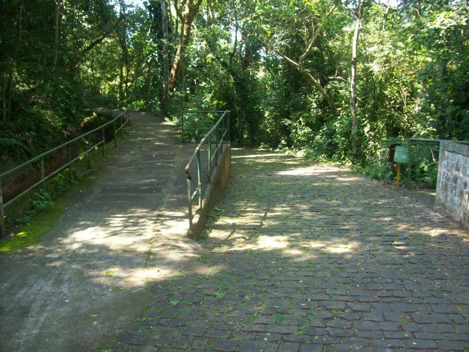 Parque Arthur Thomas-Londrina必去景点