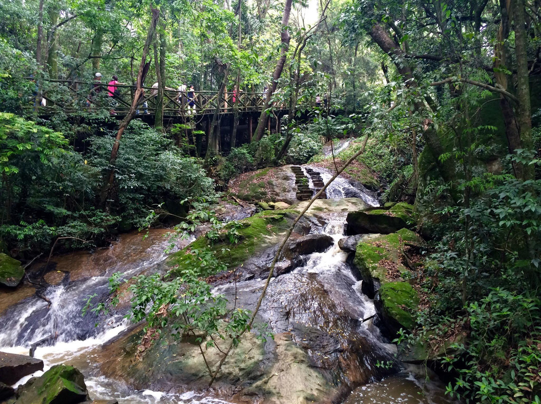 Cascata do Carambei景点图片