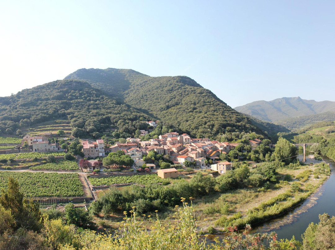 Roquebrun旅游景点-Domaine Du Vieux Chai